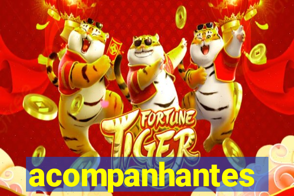 acompanhantes chamadas de video