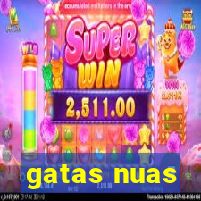 gatas nuas
