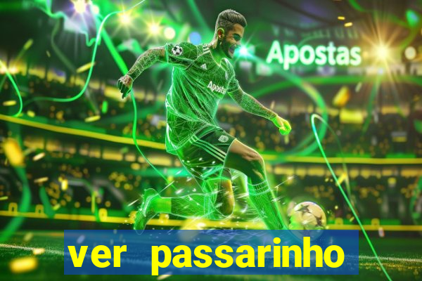 ver passarinho morto significado espiritual