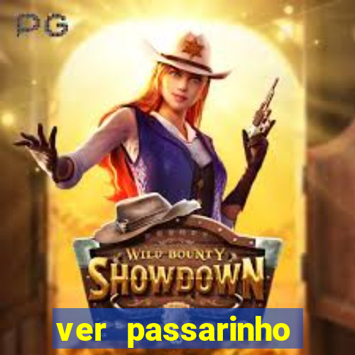 ver passarinho morto significado espiritual