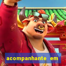 acompanhante em porto feliz