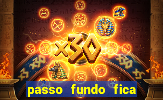 passo fundo fica perto de qual cidade