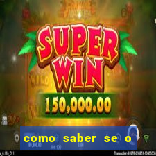 como saber se o touro cobriu a vaca