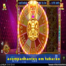 acompanhantes em tubarao